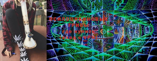 МДМА Белокуриха